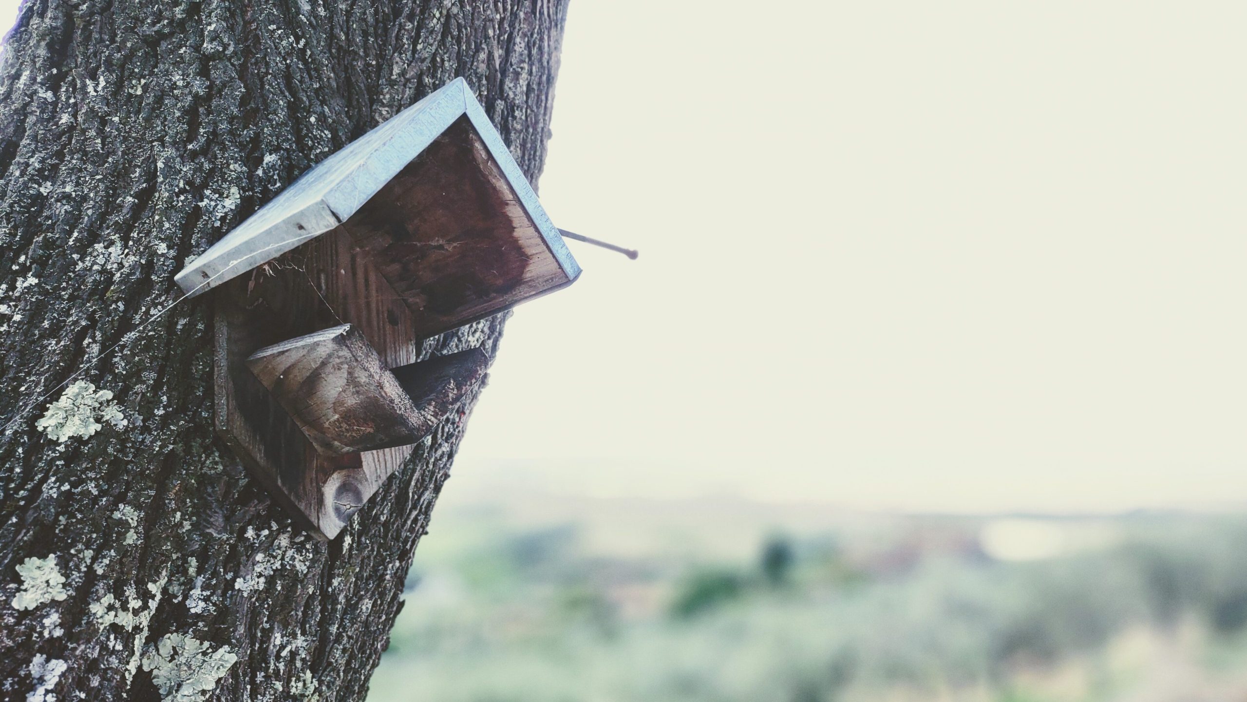 usiamo prodotti naturali per creare abitazioni biocompatibili rispettanto la natura